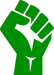 Union solidarity fist